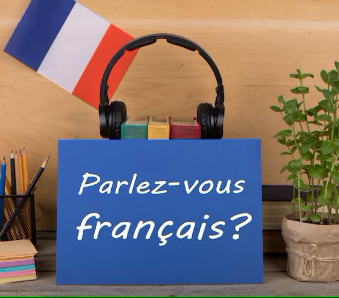 Parlezvous-francais-Trad-Lingo.png